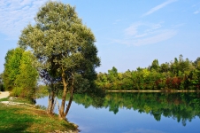 Il rispetto della natura   