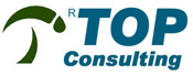 top-consulting